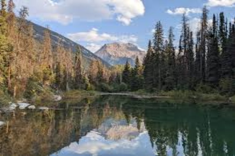 Outdoor Education Reimagined in Alberta’s Foothills